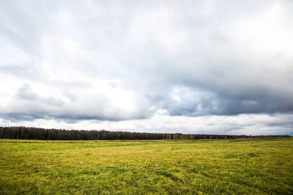 Uma Paisagem Outono Uma Visão Campo Agrícola Verde País Contra — Fotografia de Stock