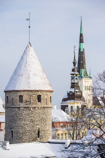 Invierno Ciudad Vieja Tallin Estonia Claro Día Soleado Torres Ciudad —  Fotos de Stock