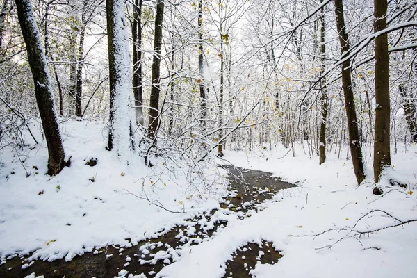 Paisaje Forestal Río Congelado Bosque Cubierto Nieve Hojas Doradas Los —  Fotos de Stock