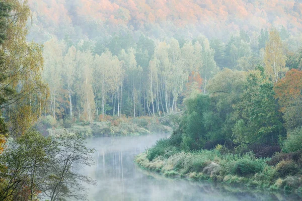 Ochtend Mist Gauja Rivier Bos Heldere Lucht Kleurrijke Bomen Sigulda — Stockfoto