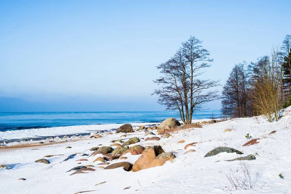 Paisagem Inverno Mar Coberto Neve Árvores Verdes Contra Céu Azul — Fotografia de Stock