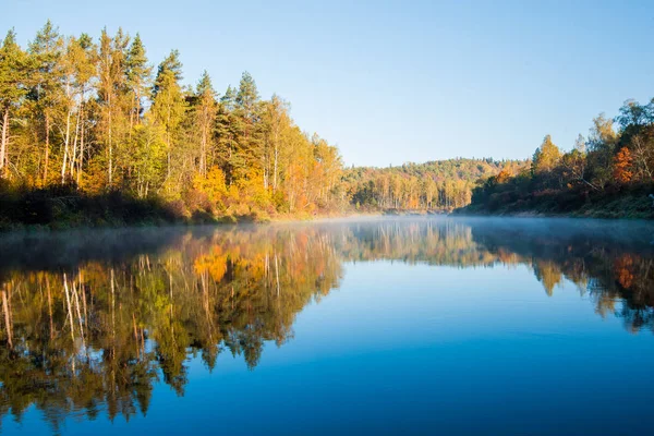 Aamusumu Gauja Joen Metsän Yllä Kirkas Taivas Värikkäitä Puita Sigulda — kuvapankkivalokuva