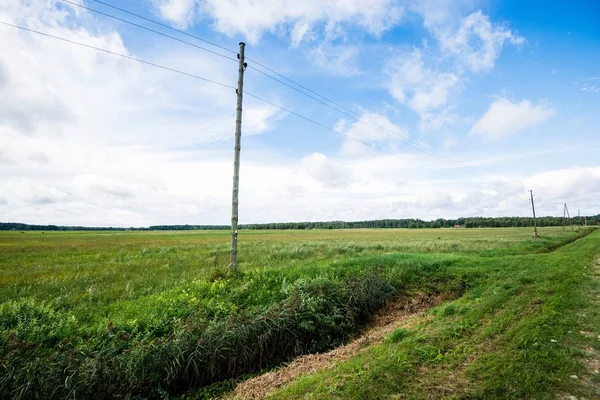 View Green Country Agricultural Field Agains Cloudy Blue Sky Latvia — Stock Photo, Image