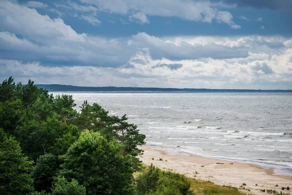 Stormiga Vädret Panoramautsikt Över Östersjökusten Tallar Vågor Och Moln Lettland — Stockfoto