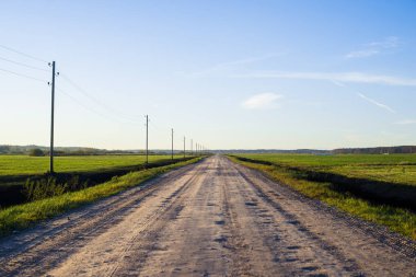 Toprak yol ve yeşil ülke alanları üzerinde açık akşam gökyüzü, Letonya