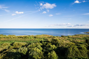 Güneşli bir günde berrak mavi gökyüzüne karşı göl manzarası, Estonya