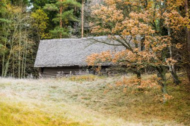 Ormandaki ilk friost. Renkli ağaçlar, don-cevered alan ve eski bir ahşap ev. Cesis, Letonya