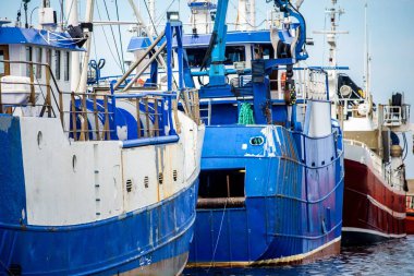 Toplu terminal. Kargo limanı vinç inşaatları. Renkli industri