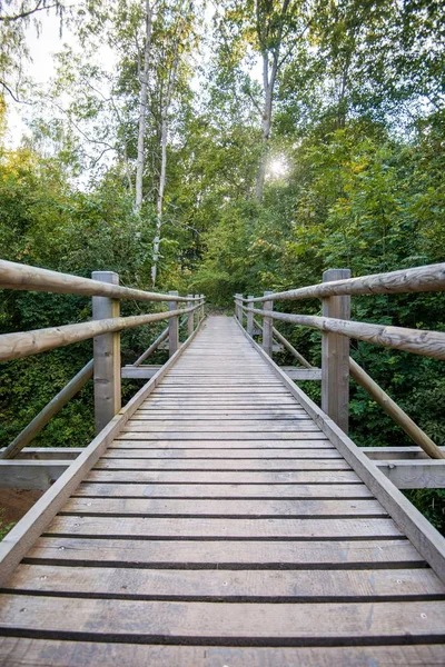 Pont Bois Dans Forêt Verte Paysage Automne Sigulda Lettonie — Photo