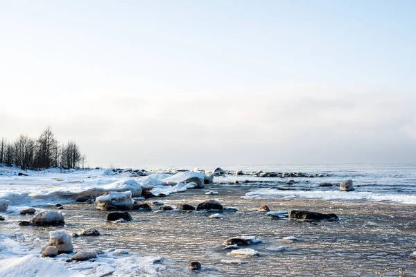 Зимний Пейзаж Заснеженные Берега Моря Зеленые Деревья Против Ясного Голубого — стоковое фото