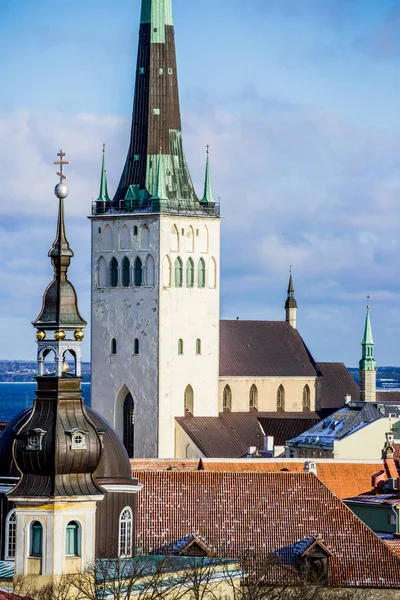 Inverno Cidade Velha Tallinn Estónia Num Dia Sol Claro Igreja — Fotografia de Stock