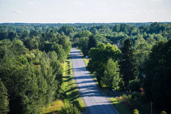 Panorámás Kilátás Aszfaltút Zöld Erdők Észtország — Stock Fotó