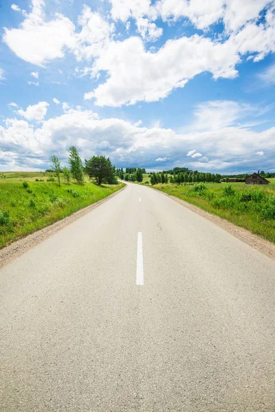 Een Asfalt Weg Door Groene Land Velden Met Een Bos — Stockfoto