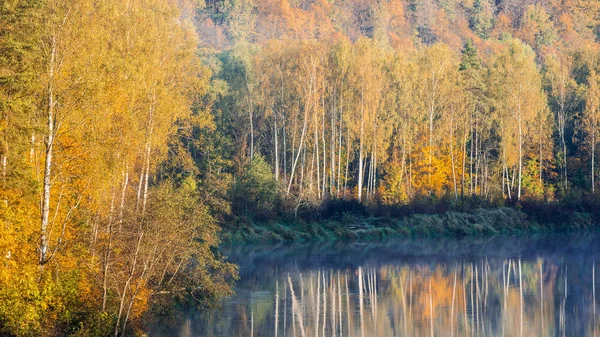 Morgennebel Über Dem Fluss Gauja Und Dem Wald Klarer Himmel — Stockfoto