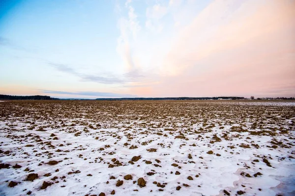 Utsikt Över Snötäckta Land Fälten Vid Solnedgången Skogen Bakgrunden Lettland — Stockfoto