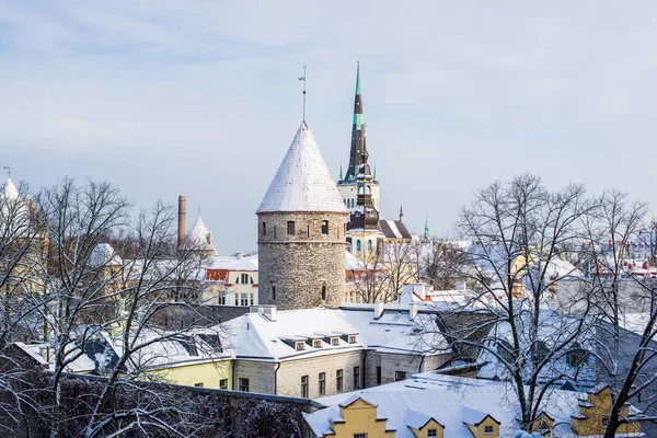 爱沙尼亚塔林老城 在晴朗的晴天 城市塔和圣奥拉夫教堂特写 — 图库照片