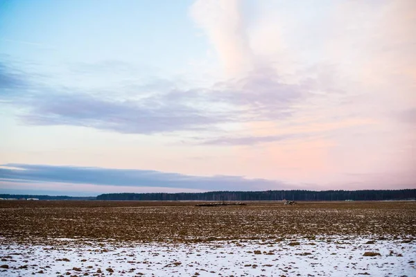 夕暮れ時の雪に覆われた田舎の景色 背景のフォレスト ラトビア — ストック写真