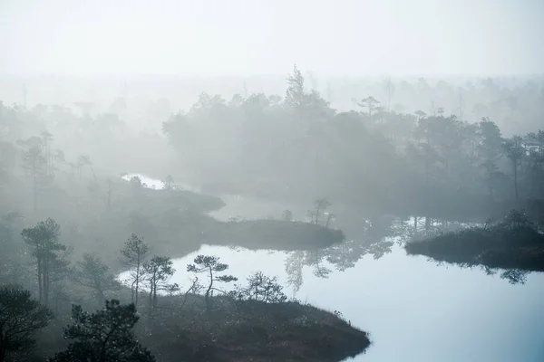 Αγνό Πρωινό Φως Και Ομίχλη Πάνω Από Βάλτο Μπλε Νερό — Φωτογραφία Αρχείου