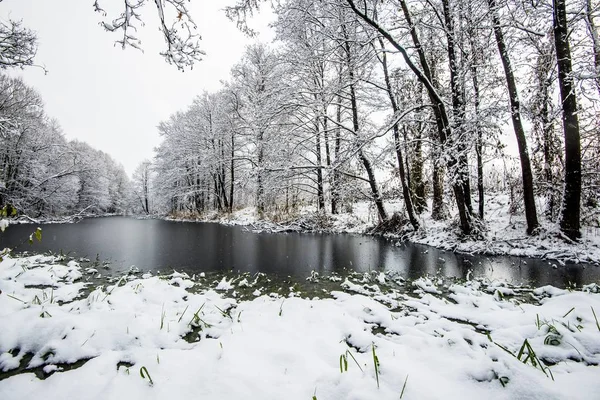 Uma Vista Lago Congelado Floresta Coberta Neve Dia Nublado Inverno — Fotografia de Stock