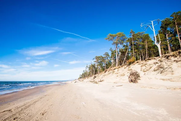 Utsikt Över Östersjökusten Och Havet Molnig Blå Himmel Solig Dag — Stockfoto