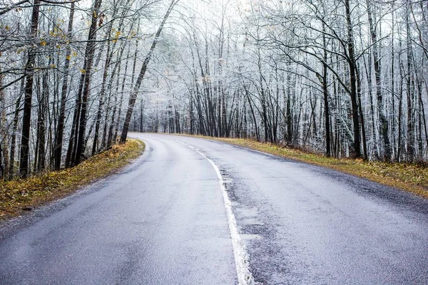 Camino Través Del Bosque Cubierto Nieve Día Nublado Otoño Letonia — Foto de Stock