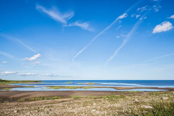 Utsikt Över Sjön Mot Klarblå Himmel Solig Dag Estland — Stockfoto