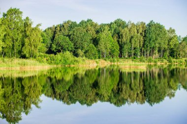 Su üzerine yansımaları. Güneşli bir yaz gününde arka planda bir orman ile mavi göl manzarası Letonya