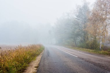 Bulutlu bir günde sonbahar ormanında bir asfalt ülke yolu, Letonya