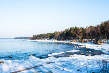 Kış manzarası. Karla kaplı deniz kıyısı ve berrak mavi gökyüzüne karşı yeşil ağaçlar. Baltık Denizi, Letonya