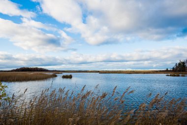 Sonbahar manzarası. Bulutlu mavi gökyüzüne karşı nehrin görünümü, Letonya