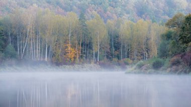 Gauja nehri ve ormanı üzerinde sabah sisi. Berrak gökyüzü ve renkli ağaçlar. Sigulda, Letonya