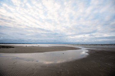 Gün batımında Baltık deniz kıyısı nın ve denizin panoramik manzarası. Arka planda çam ormanı. Renkli bulutlar. Estonya