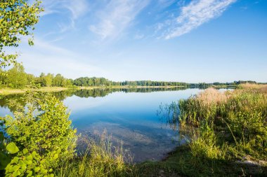 Arka planda bir orman ile mavi gölün panoramik görünümü, Letonya
