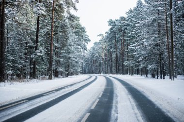 Güneşli bir kış gününde çam ormanı ile karla kaplı asfalt yol, Estonya
