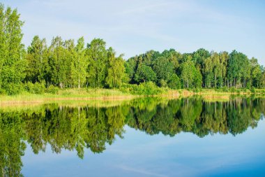 Su üzerine yansımaları. Güneşli bir yaz gününde arka planda bir orman ile mavi göl manzarası Letonya