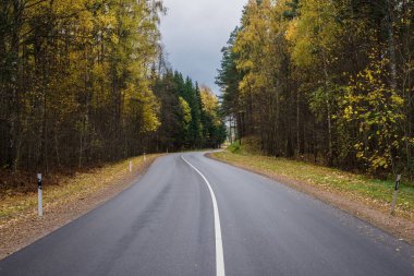 Bir bulutlu sonbahar günü asfalt ülke yolda Letonya görünümünü