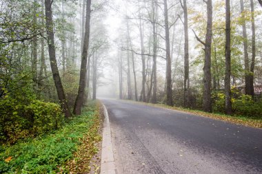 Sonbahar ormanı manzarası. Asfalt ülke yolundan bir görünüm. Letonya