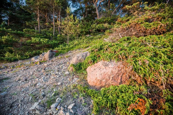 Costera Pedregosa Del Mar Báltico Atardecer Isla Hiumaa Estonia —  Fotos de Stock