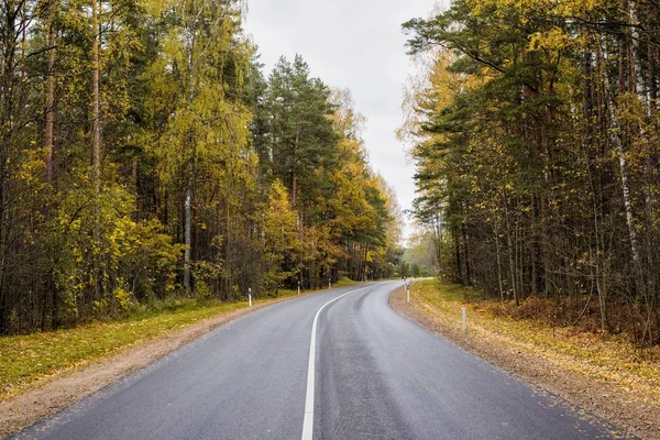 View Asphalt Country Road Latvia Cloudy Autumn Day — Stock Photo, Image