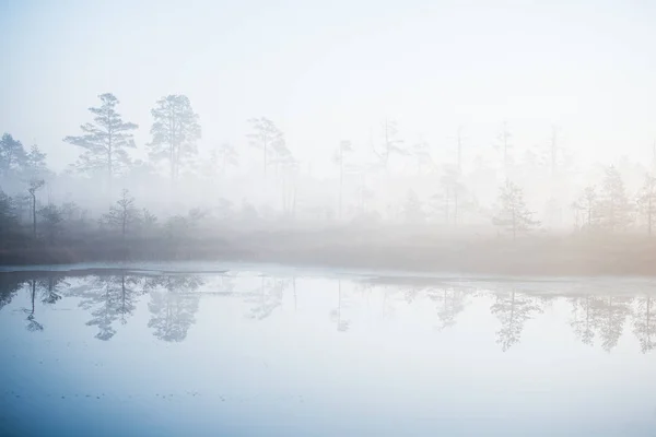 Paysage Automne Brouillard Matinal Marais Forêt Arrière Plan Cenas Tirelis — Photo