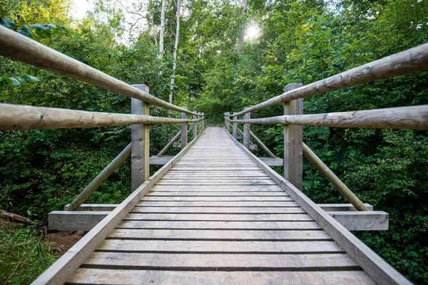 Деревянный Мост Зеленом Лесу Осенний Пейзаж Сигулда — стоковое фото