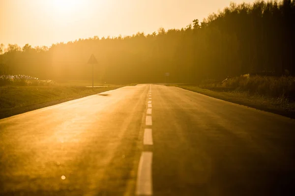 An asphalt country road and fields at sunset, pure golden light, Latvia