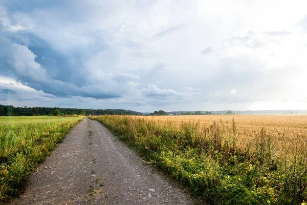 Väg Genom Gröna Land Jordbruksmark Stormiga Himlen Sommardag Lettland — Stockfoto