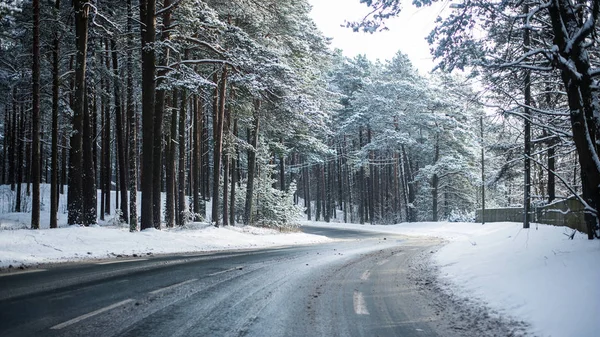 Snow Covered Asphalt Road Pine Forest Sunny Winter Day Estonia — Stock Photo, Image