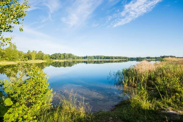 Panoramisch Uitzicht Het Blauwe Meer Met Een Bos Achtergrond Letland — Stockfoto