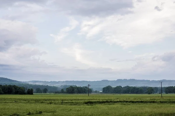 Blick auf das grüne Feld mit einem Wald im Hintergrund — Stockfoto