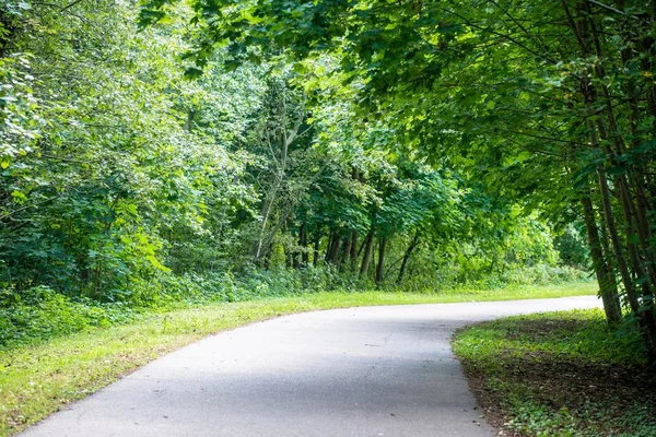 Asfalterad Väg Parken Träd Och Skuggor Lettland — Stockfoto