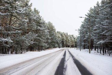 Güneşli bir kış gününde çam ormanı ile karla kaplı asfalt yol, Estonya