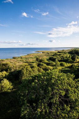 Güneşli bir günde berrak mavi gökyüzüne karşı göl manzarası, Estonya