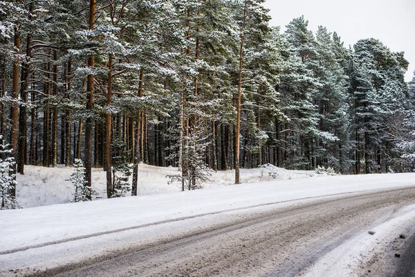 Strada Asfaltata Coperta Neve Attraverso Pineta Una Giornata Invernale Soleggiata — Foto Stock